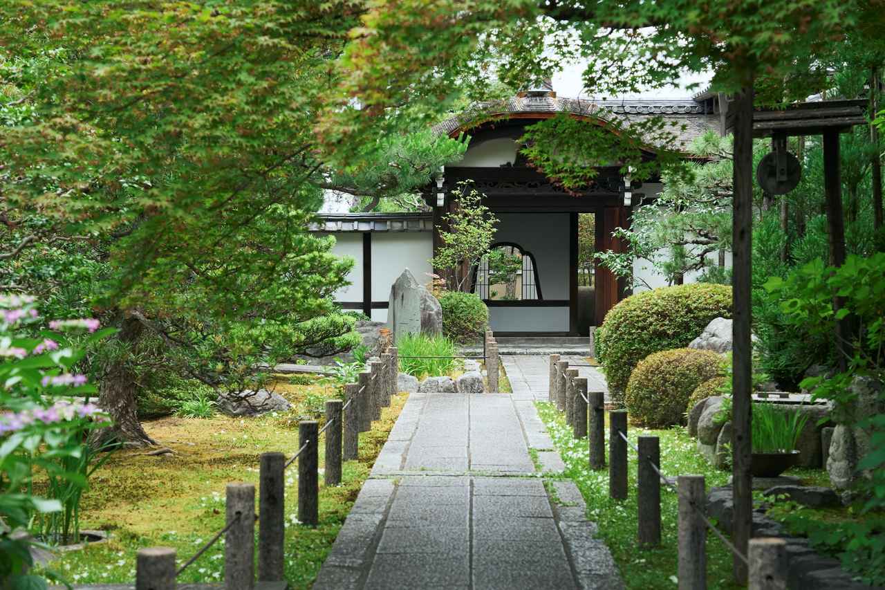 画像2: 初夏の天球院で過ごす、癒やしの時間