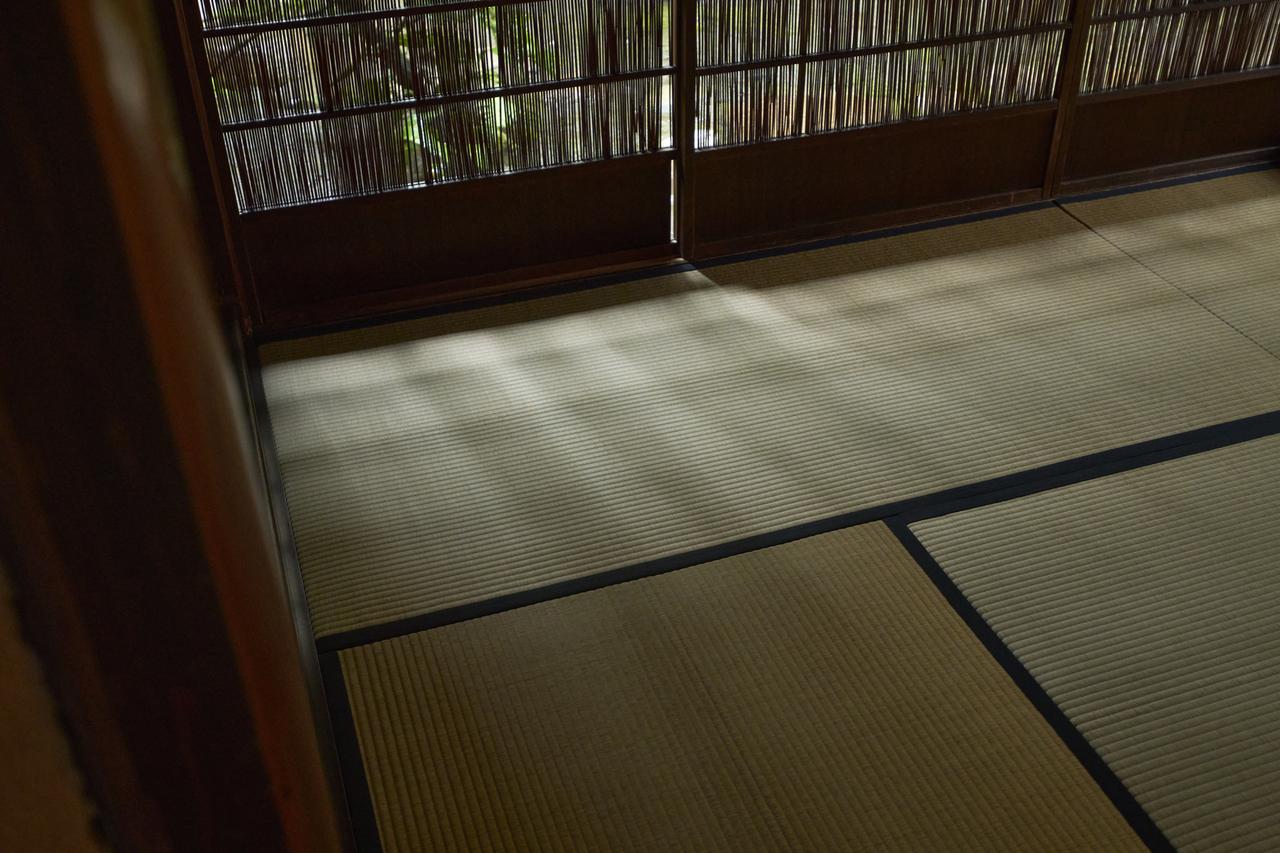 画像6: 初夏を涼やかに迎える杉本家住宅の「しつらえ」