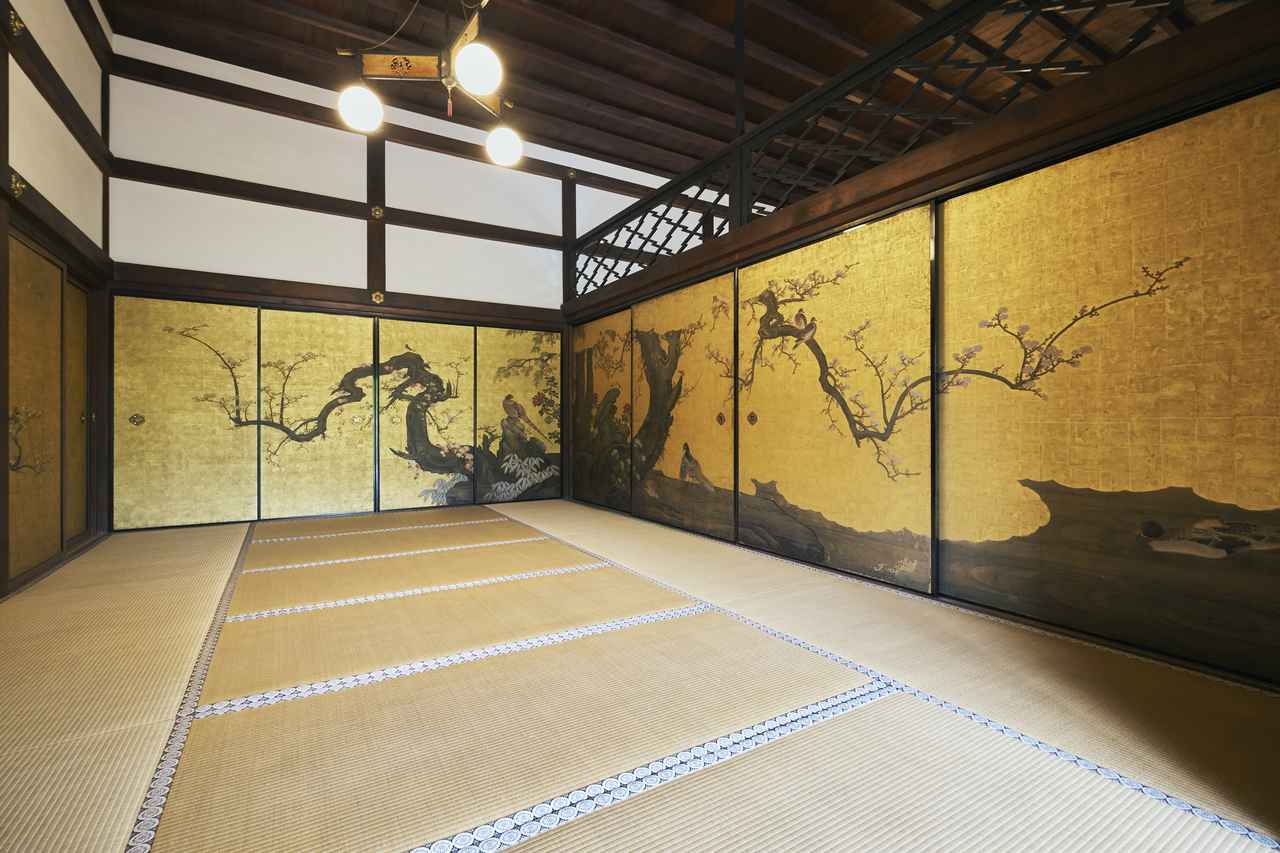 画像5: 初夏の天球院で過ごす、癒やしの時間