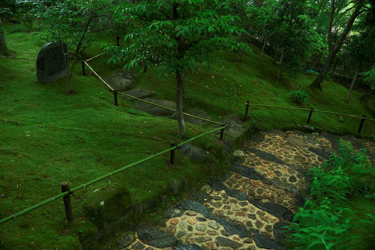 画像5: 青もみじと苔庭の眩い緑に癒される　嵐山エリアの常寂光寺