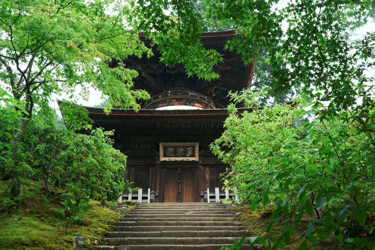 画像3: 青もみじと苔庭の眩い緑に癒される　嵐山エリアの常寂光寺