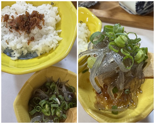 画像4: 五感で出会う、島の恵みと癒しの時間♡知る人ぞ知る“江田島”の魅力を体験【観光・グルメ編】