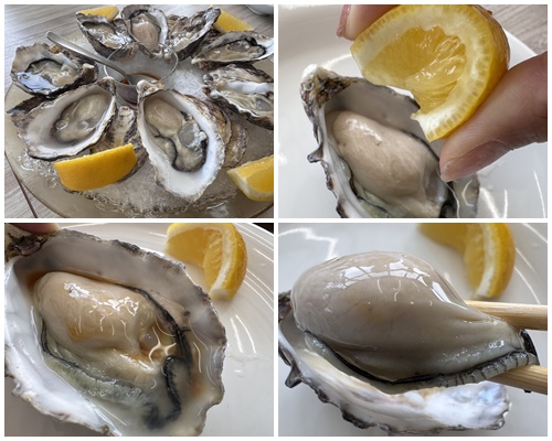 画像: 生牡蠣　産地食べ比べ3種　3個　1,980円／6個　3,850円