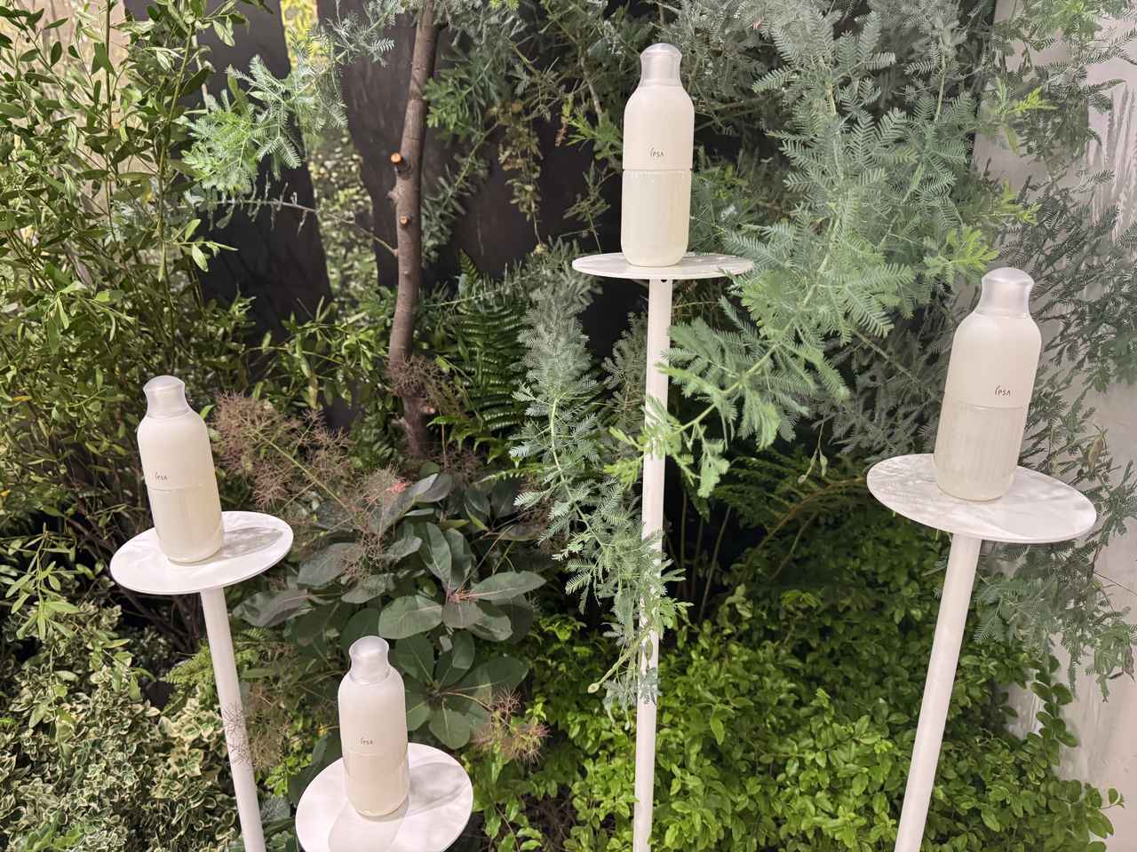 画像1: 肌が本来持つ“美しさを育てる力”に寄り添って