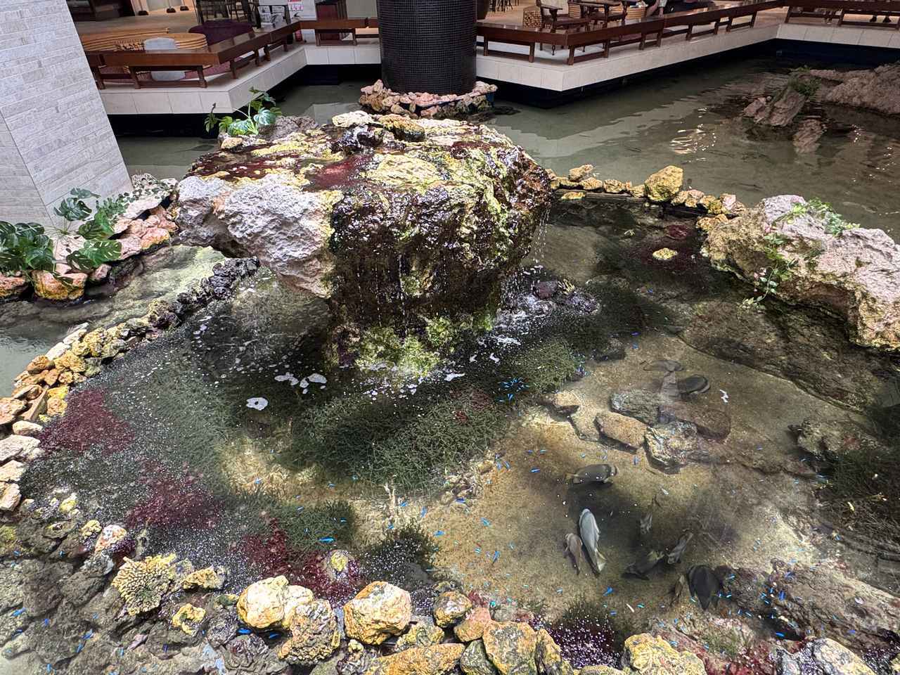 画像: ロビーにあるラグーン