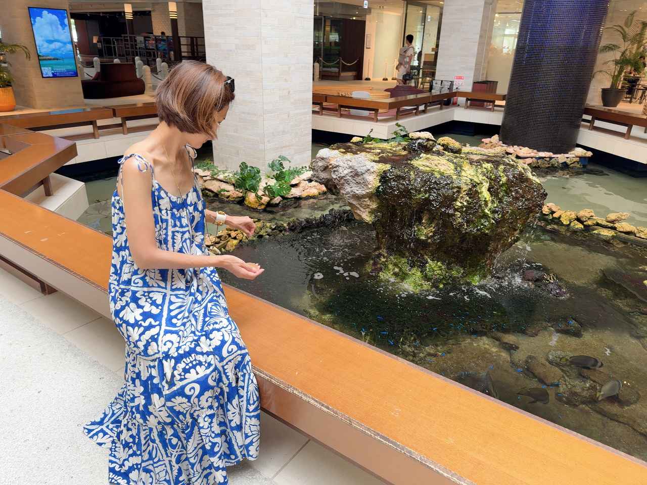 画像: 餌やり体験（無料）もできます。