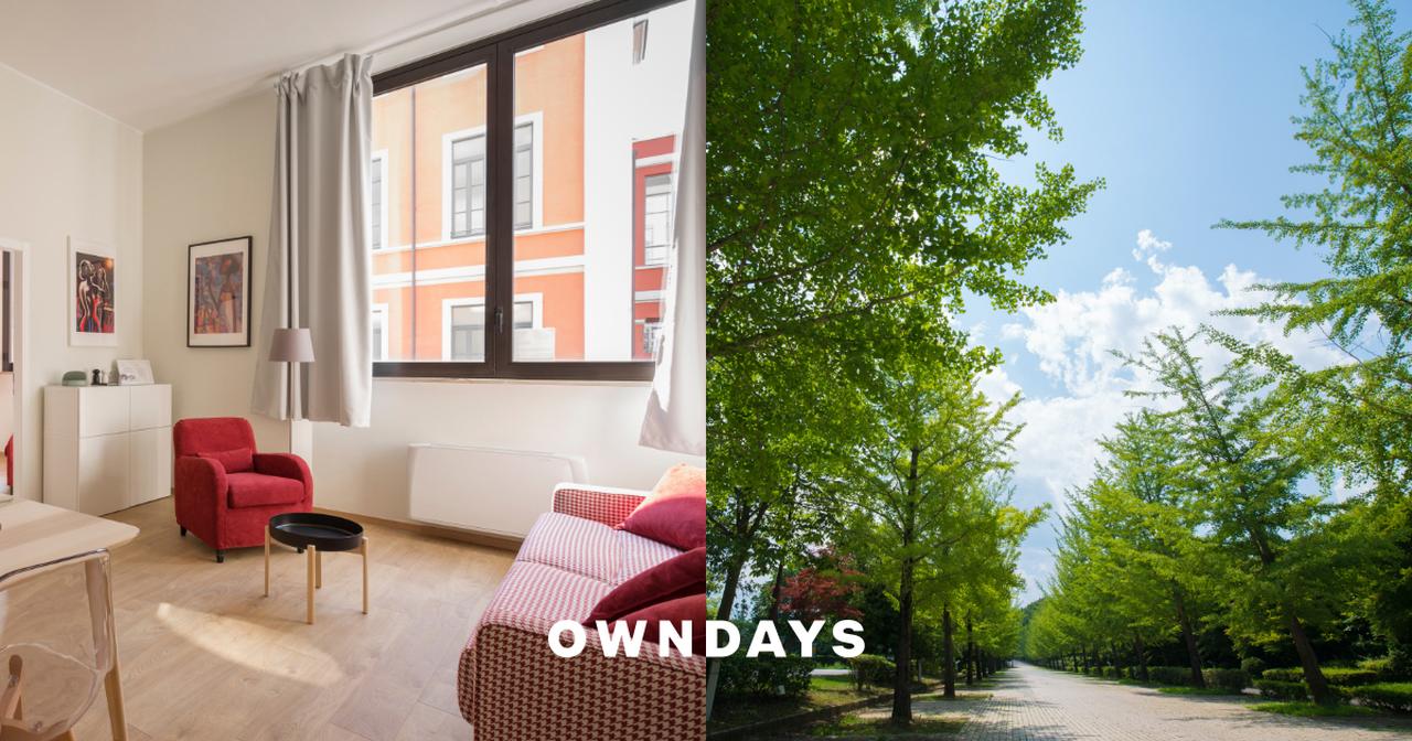 画像: 調光レンズ | メガネ通販のオンデーズオンラインストア (眼鏡・めがね)