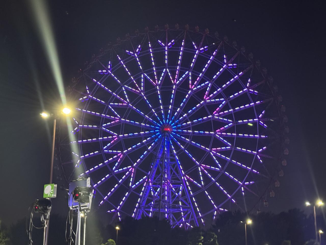 画像5: 夜空を彩る幻想イルミ♡葛西臨海公園「ダイヤと花の大観覧車」がフルカラーLEDで華麗にリニューアル