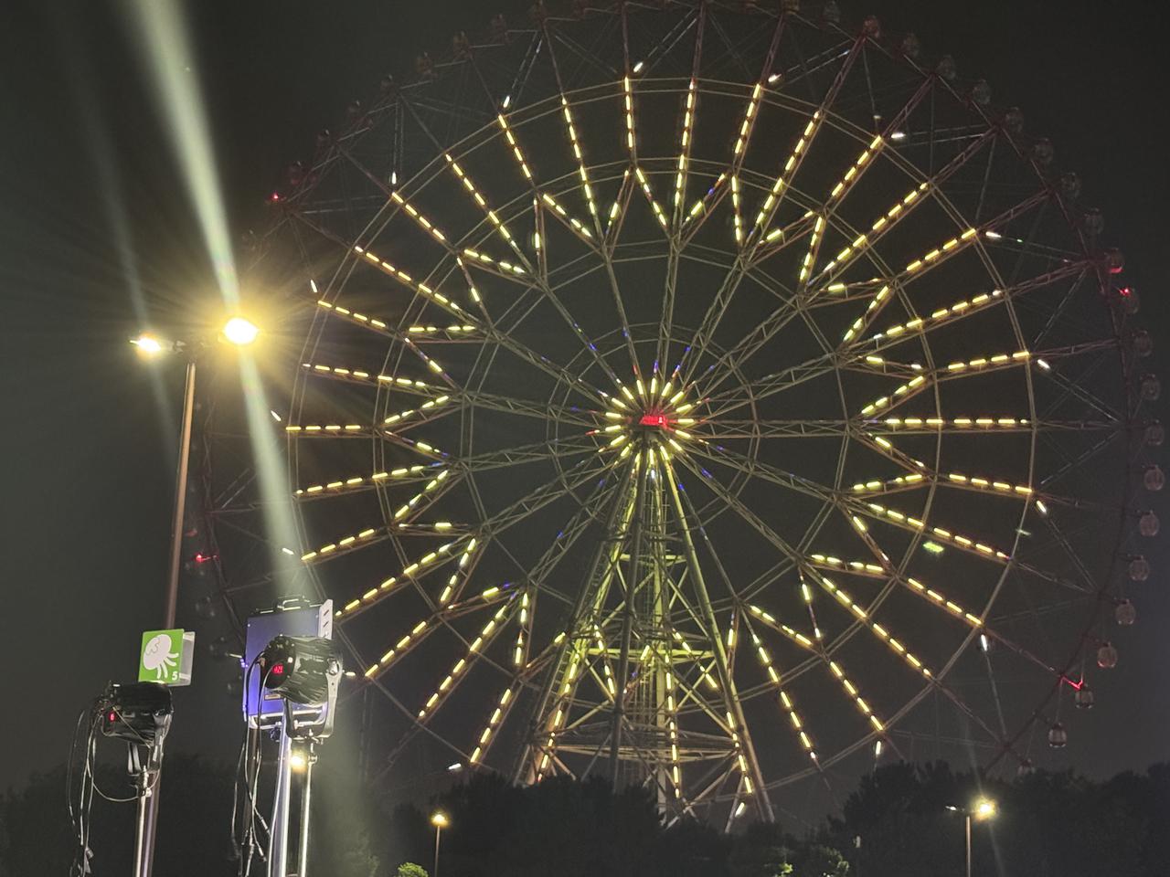 画像3: 夜空を彩る幻想イルミ♡葛西臨海公園「ダイヤと花の大観覧車」がフルカラーLEDで華麗にリニューアル