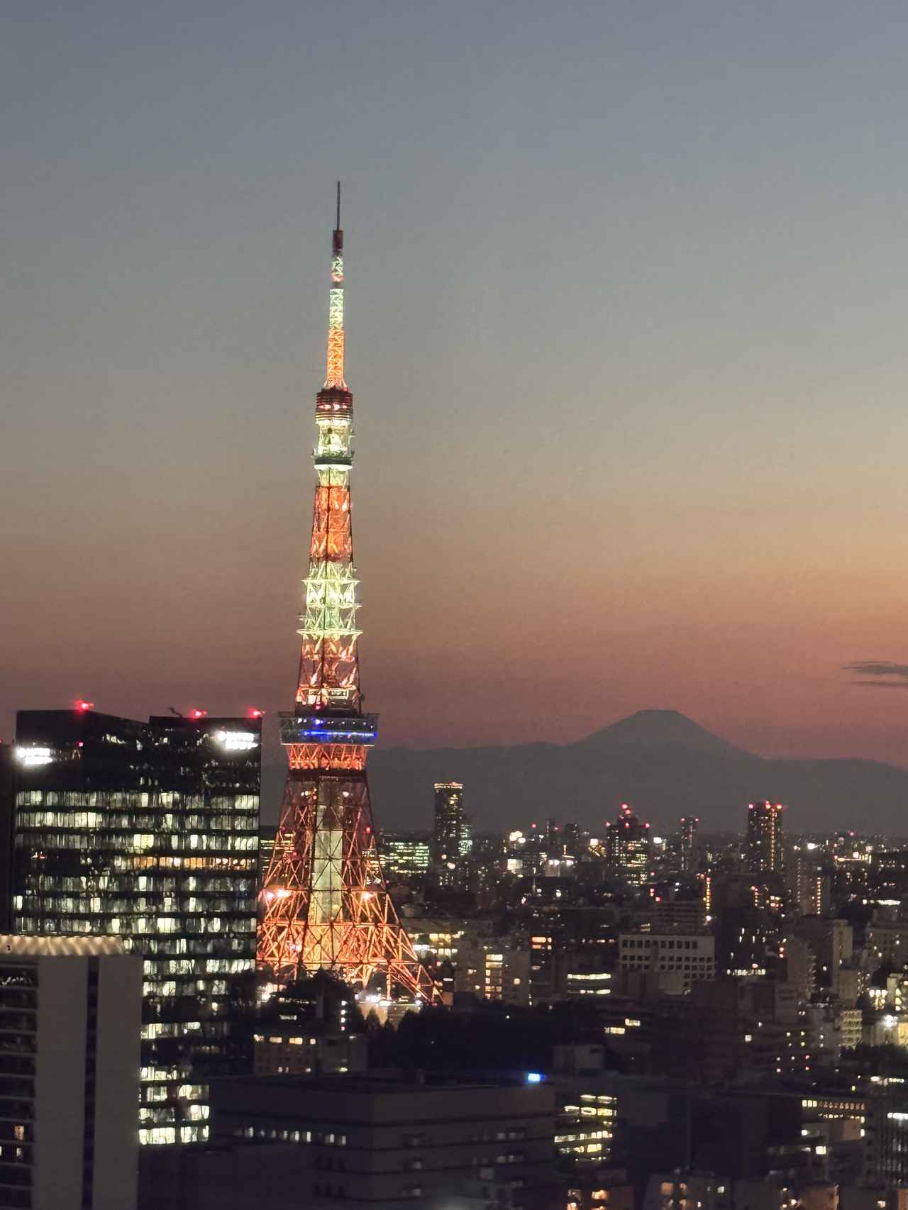 画像4: 地上100mの夜景✕シーフード尽くし♡【ザ ロイヤルパークホテル アイコニック 東京汐留】で“摩天楼ディナー”を体験