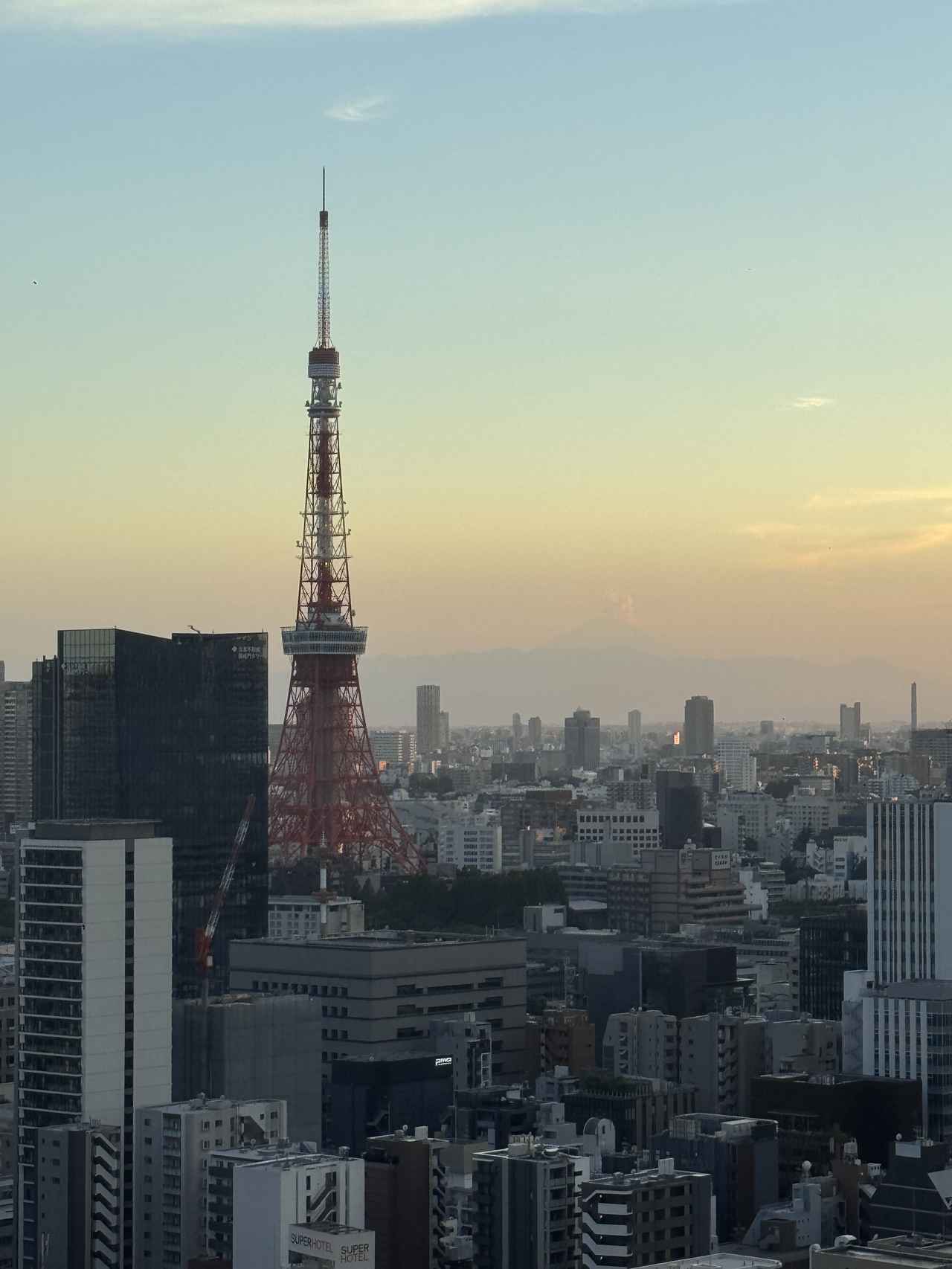 画像1: 地上100mの夜景✕シーフード尽くし♡【ザ ロイヤルパークホテル アイコニック 東京汐留】で“摩天楼ディナー”を体験