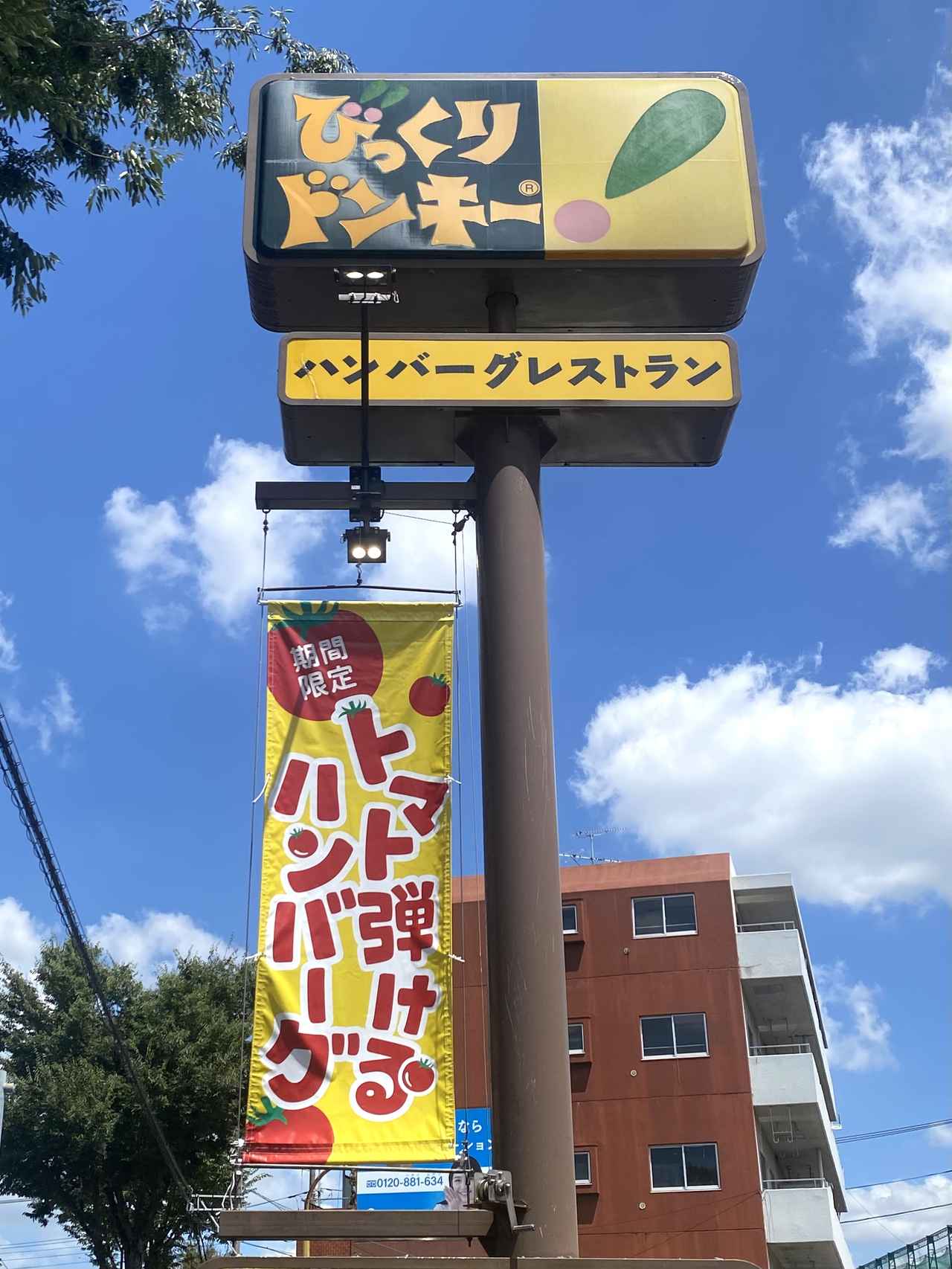 画像1: お試しさせていただきました！