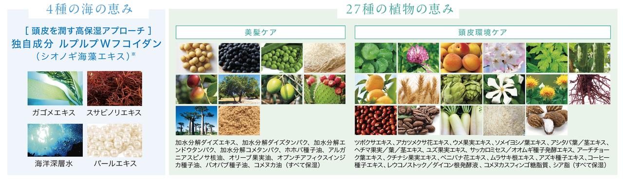 画像1: カラーシャンプー & カラープロテクトコンディショナー【共通成分】