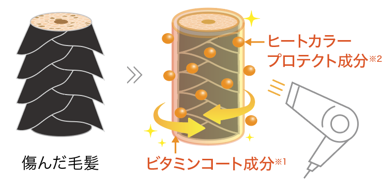 画像: ●POINT① 色落ちを抑えて染め色キープ。傷んだ髪を補修してサロン帰りのようなまっすぐな髪へ