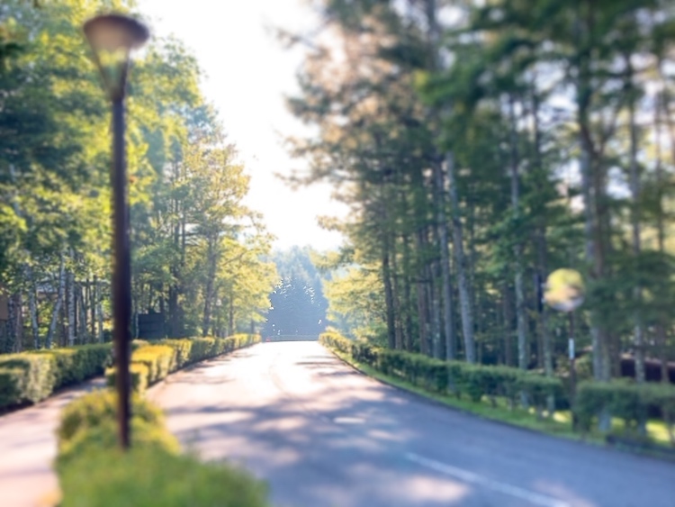 画像: お散歩だけでも心地よいです