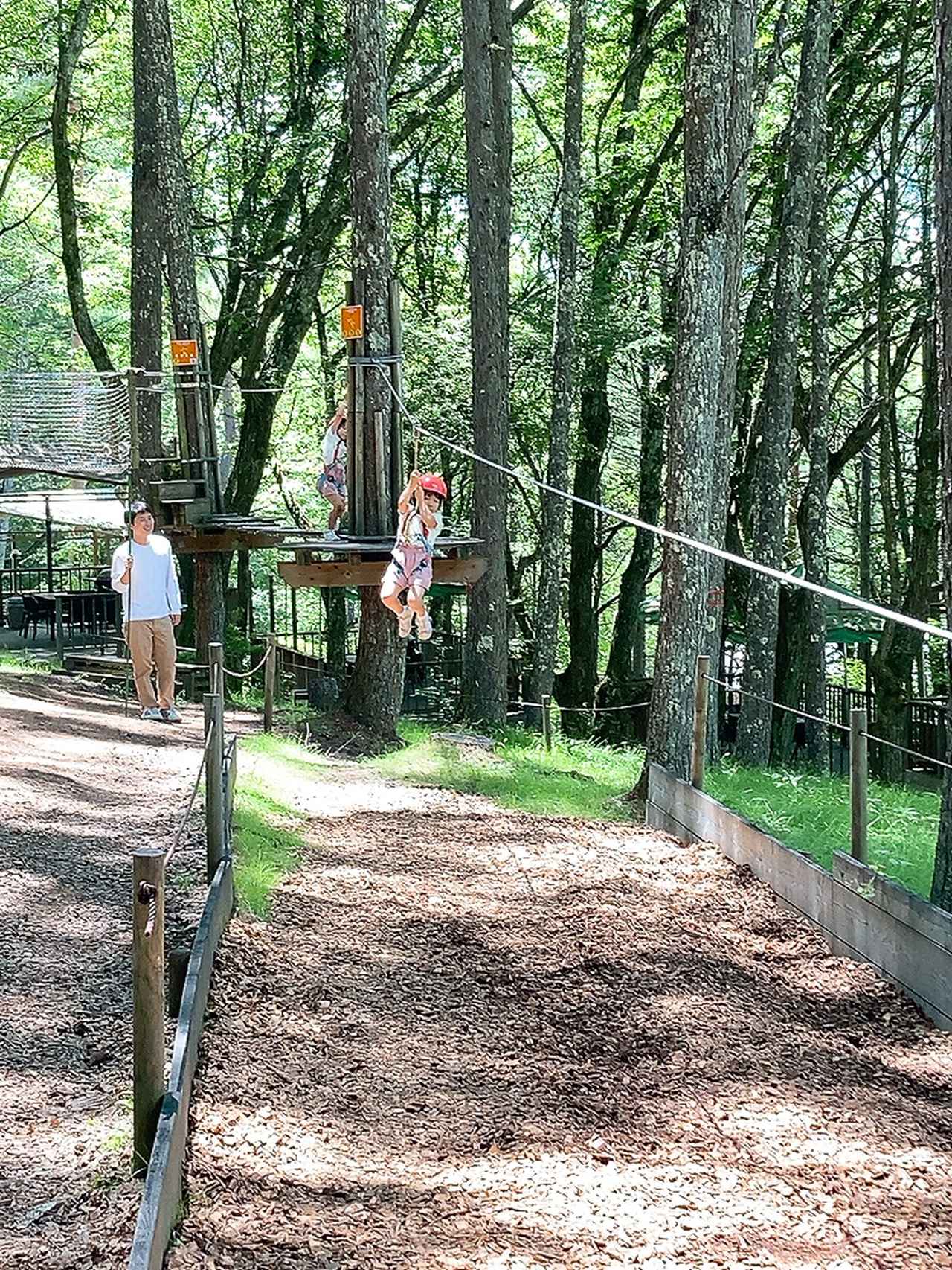 画像: 大自然へダイブ！