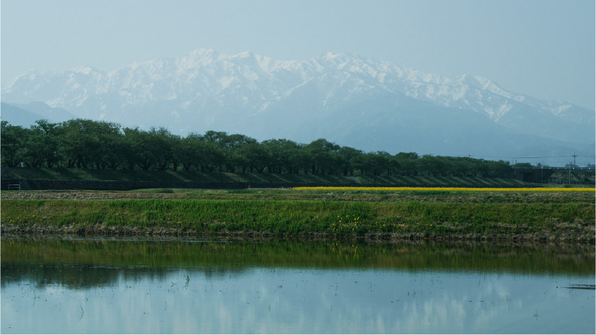 画像1: toyama.mizu-ho.com