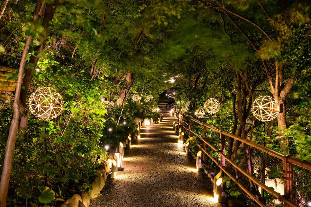 画像: 「竹あかり」 hotel-chinzanso-tokyo.jp