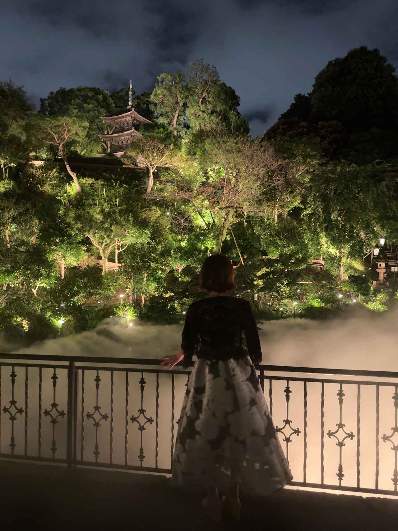 画像15: 【ホテル椿山荘東京】夏の夜を彩る大人のビアフェス♡ラグジュアリーに楽しむ「目白の森ビアフェスティバル」開催