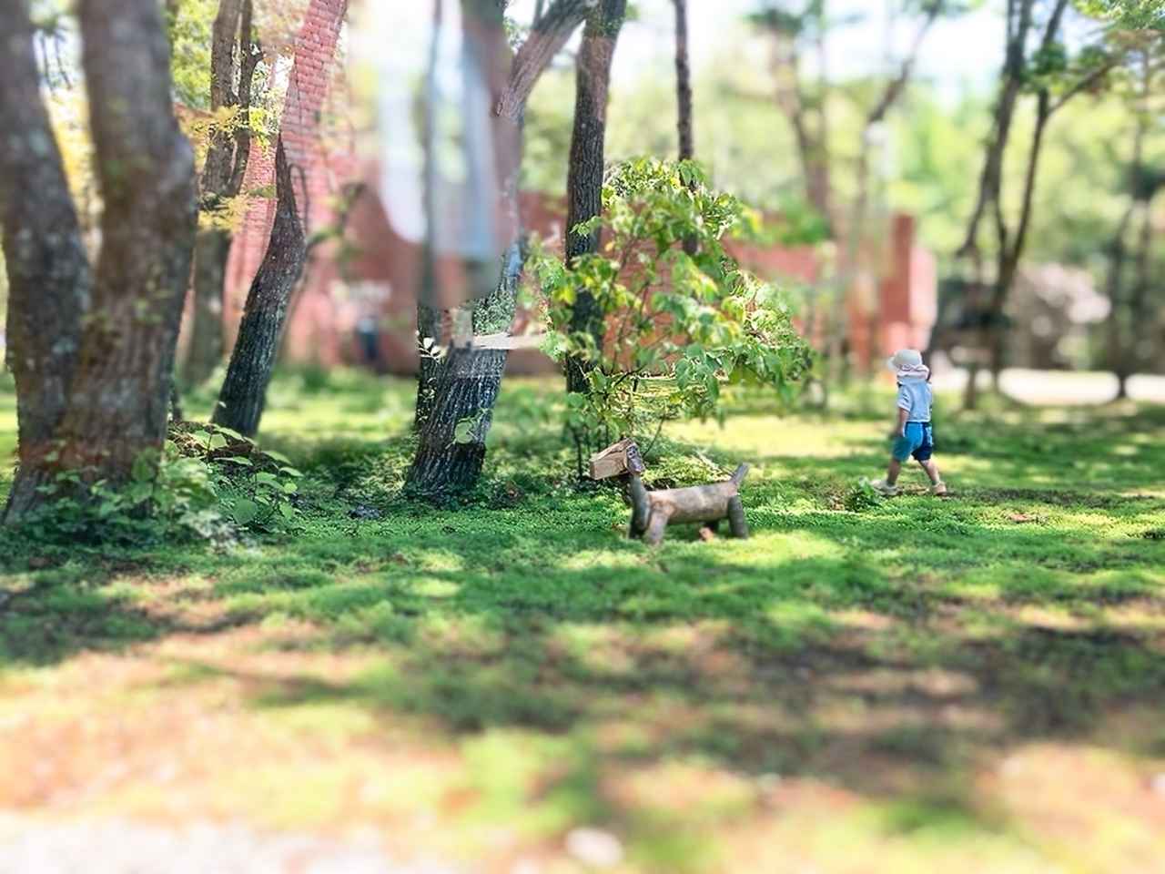 画像: 緑が広がる中央の空間