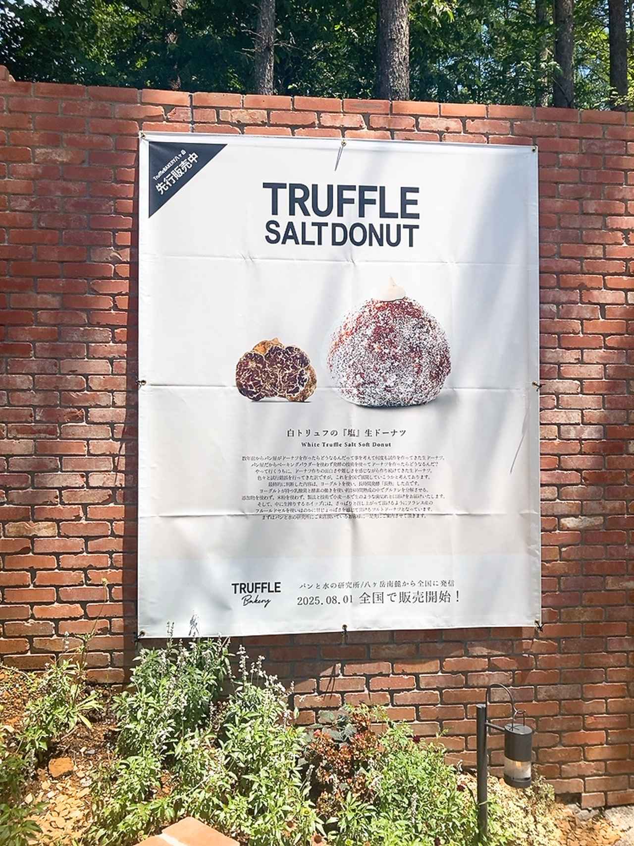 画像: 八ヶ岳から全国デビュー第一弾は「TRUFFLE SALT DONUT」