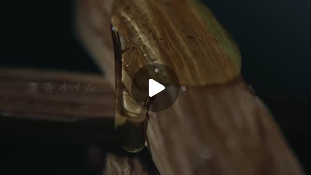 画像: BOTANIST(ボタニスト) on Instagram: "8.26 ECモール発売 BOTANIST SANTAL(サンタル) 楽天・Amazonにて シャンプー&トリートメント&ヘアオイルの3点フルセット 先行予約受付中 楽天市場のみ予約特典付き - 楽天ポイント20倍 - ボタニストサンタルのサシェ3包セット 予約特典締切:8/25(月)23:59迄 香りに触れるほど、好きになるパロサントの香り。 奥行きのあるほのかな甘さと、木の温もりを感じられる香りで、毎日の バスタイムを心浸すリラックス時間に 。 特に傷んだ髪も芯までダメージ補修する「サンタルリペアオイル処方*」で、髪の芯までダメージ補修。 繰り返すパサつきも、植物由来の美髪オイル成分でツヤめきまとまり髪へ。 <発売 / 取扱い店舗> 新ライン 「BOTANIST SANTAL(サンタル)」 ✅ 8月6日(水)より楽天&habit にて先行予約開始 ✅ 8月26日(火)より公式オンラインストア・各ECモール発売開始 ✅ 9月1日(月)より全国のドラッグストア・バラエティショップ (一部店舗除く) にて順次発売 #BOTANIST #濃香オイルインシャンプー #心浸美容 *シャンプー・トリートメント: レブリン酸(毛髪補修成分)、グルコシルヘスペリジン(毛髪補修成分)、プルケネチアボルビリス種子油(保湿成分)、カヤ種子油(保湿成分)、ビャクダン油(保湿・香り成分) ヘアオイル:アミノエチルチオコハク酸ジアンモニウム、γ-ドコサラクトン (毛髪補修成分)、アルガニアスピノサ核油(毛髪補修成分)、プルケネチアボルビリス種子油(保湿成分)、ビャクダン油(保湿・香り成分)"