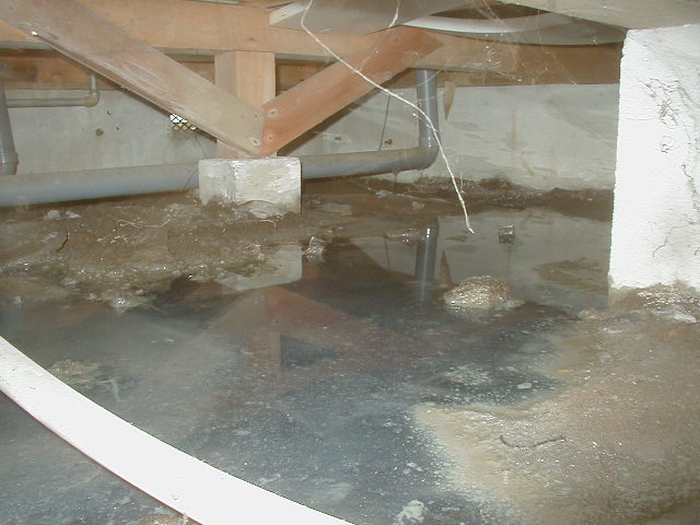 画像: 大雨で被害を受けた床下の写真