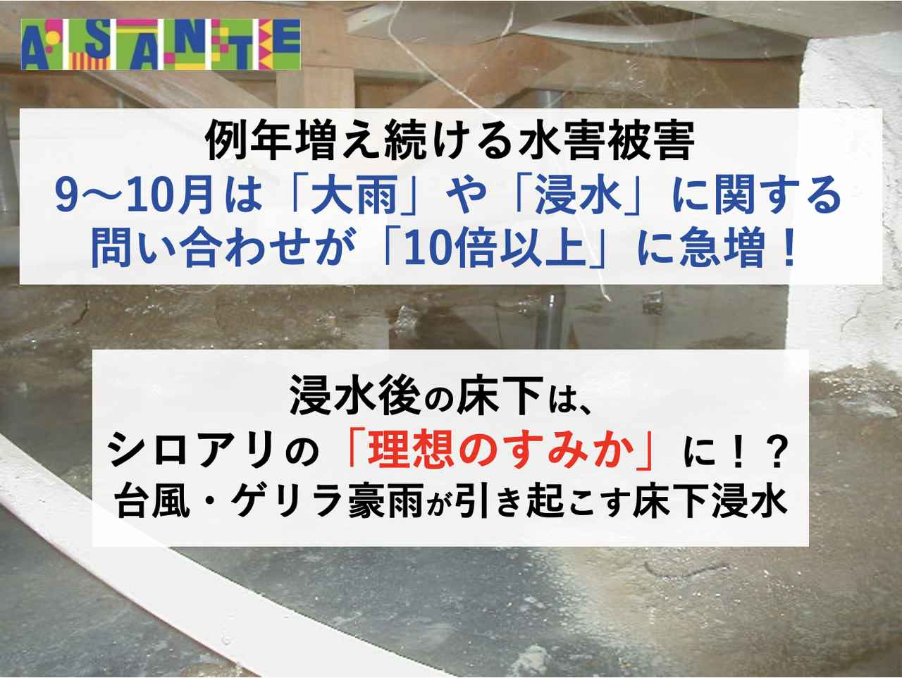 画像1: 台風・ゲリラ豪雨後の「床下浸水」、放置は危険!
