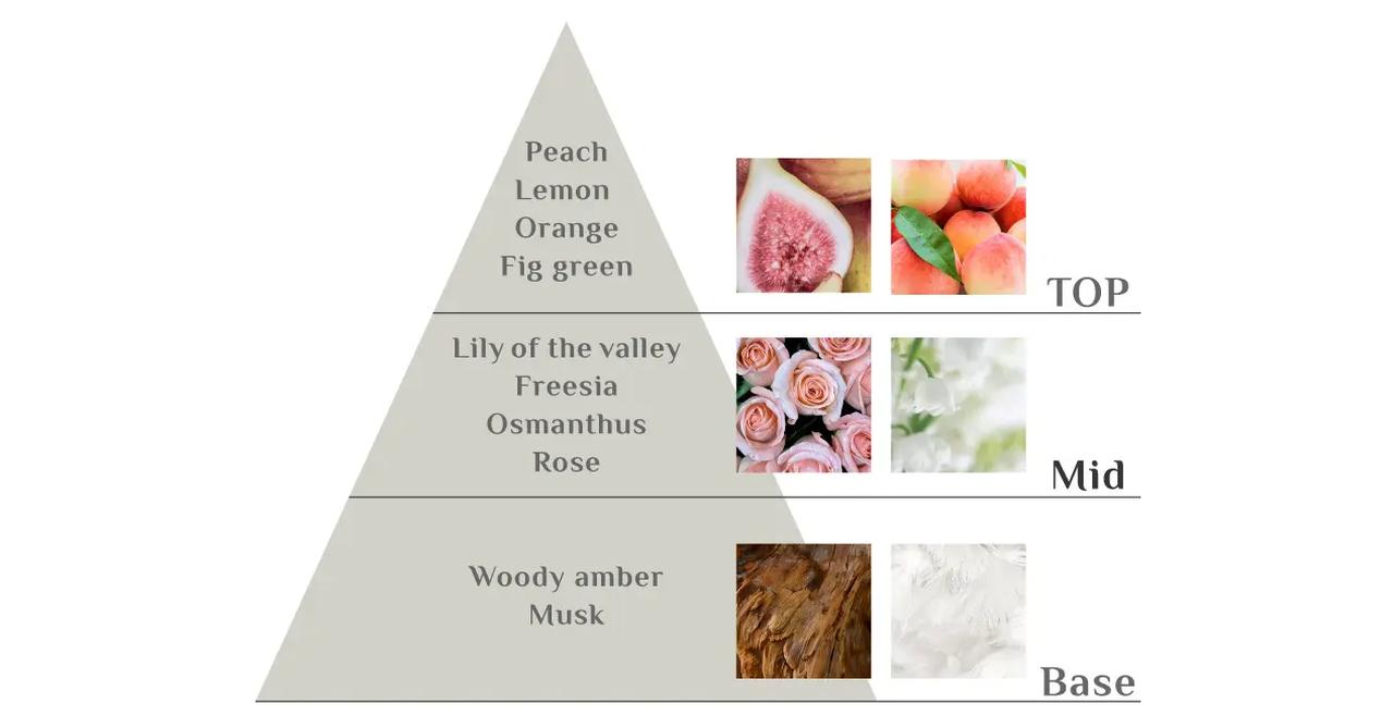 画像: 「香水ほど強くない、でもちゃんと香る」“FIG TEA”の香り