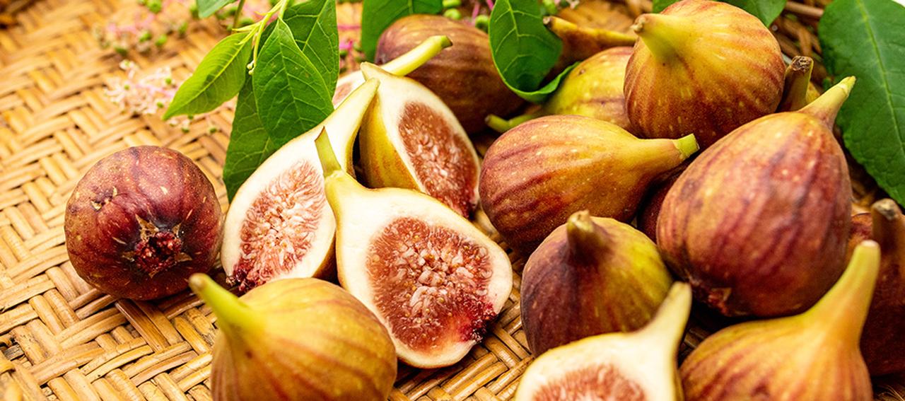 画像: イチジクづくし!「2025 晩夏のイチジク」