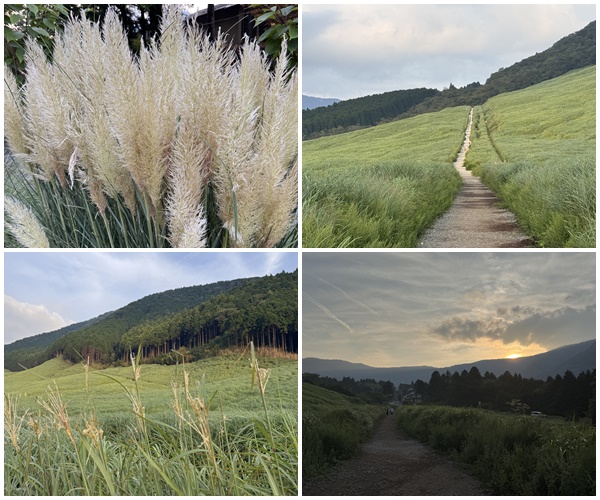 画像11: 3周年を迎えた“泊まれない旅館”に新風♡箱根「金乃竹 茶寮」がついに宿泊OKに！