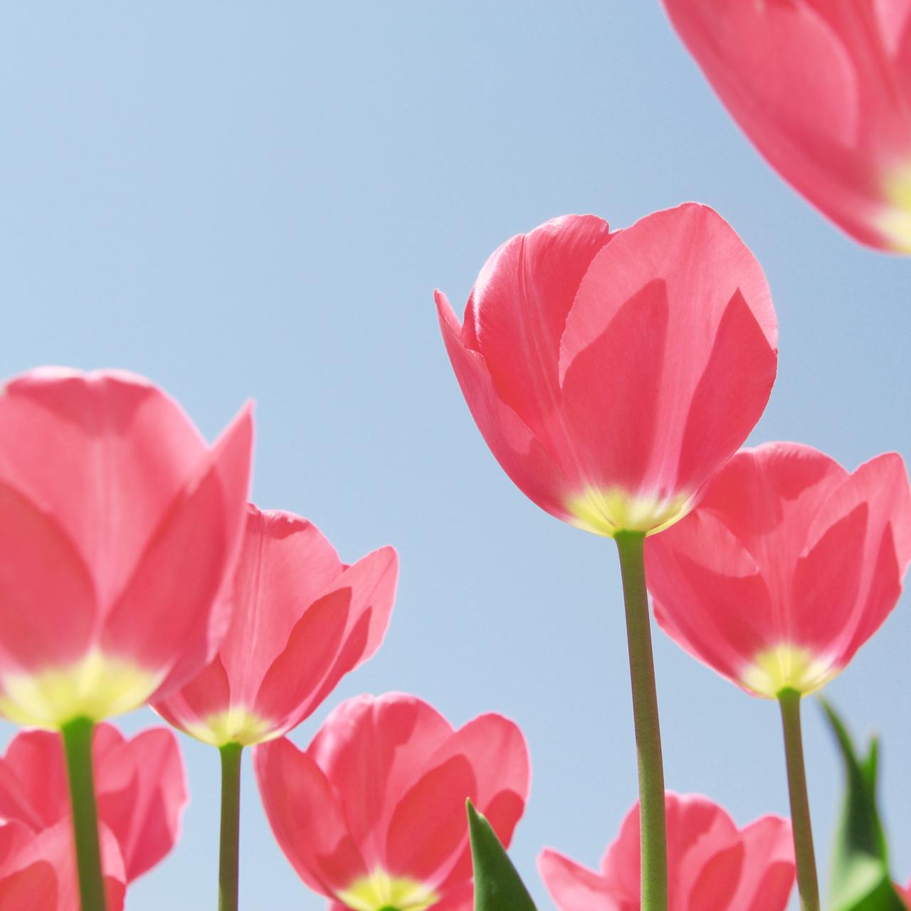 画像: Dr.ISHII（ドクターイシイ）クリニックエステティックサロン