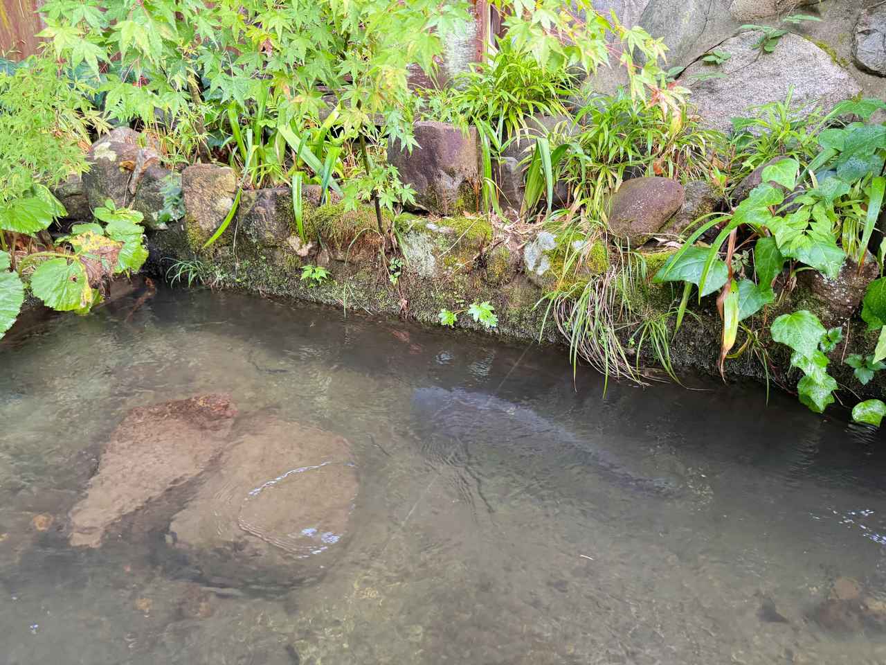 画像7: まだ見ぬ岐阜の美しさに会いに行こう!長良川をめぐる、神秘の絶景と伝統にふれる旅