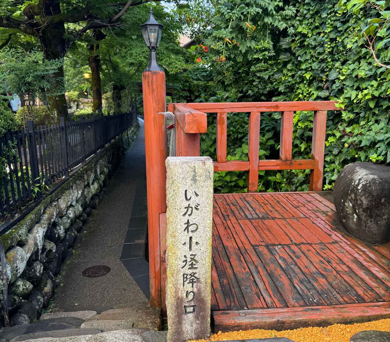画像6: まだ見ぬ岐阜の美しさに会いに行こう!長良川をめぐる、神秘の絶景と伝統にふれる旅