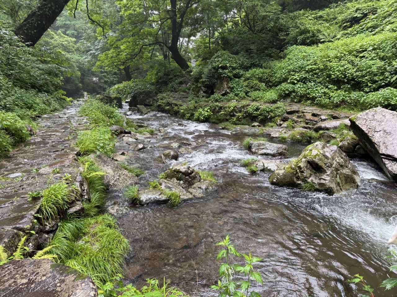 画像3: 息をのむほど神秘的な絶景スポット!マイナスイオンを全身で感じられる「阿弥陀ヶ滝」