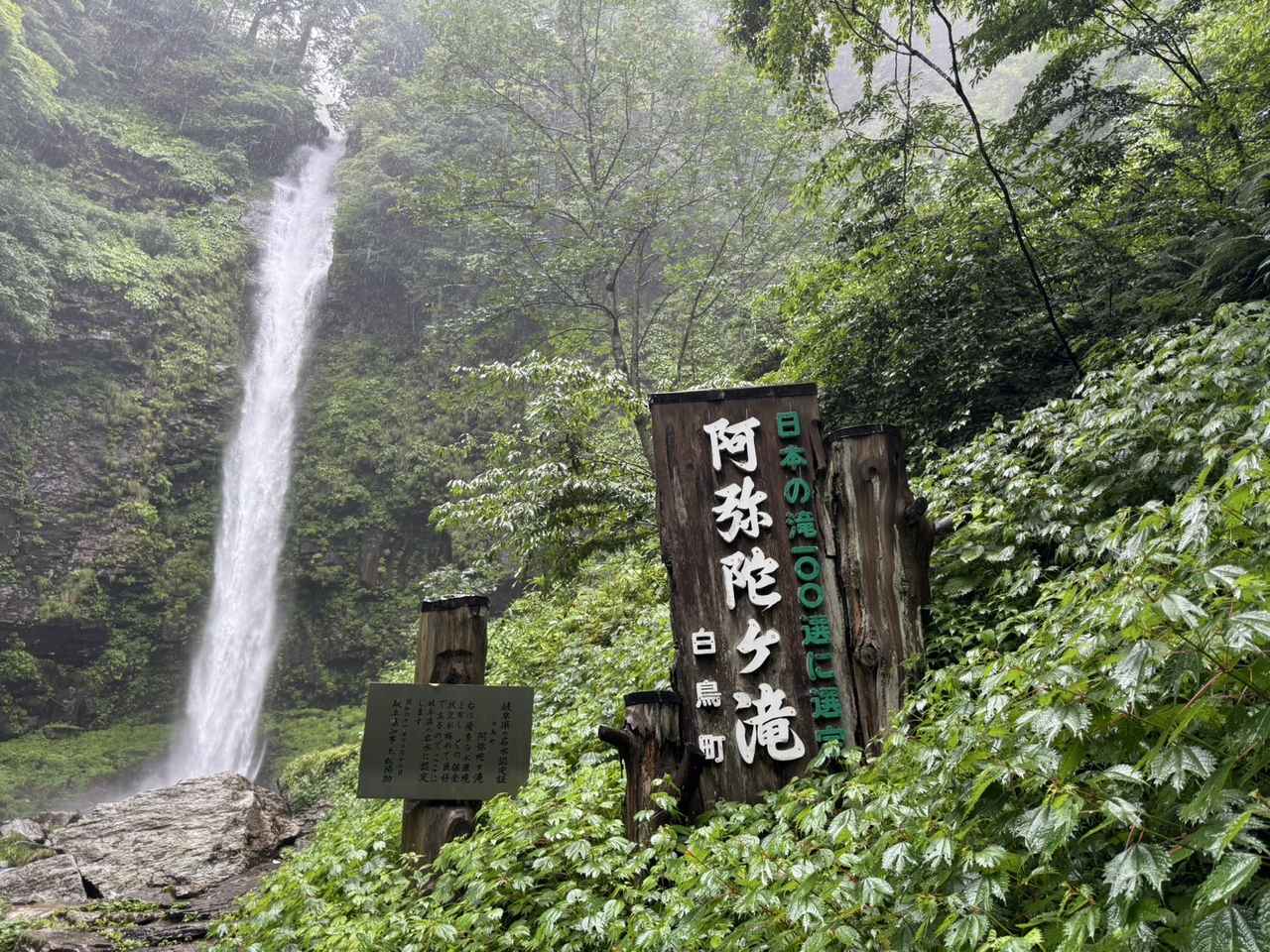 画像1: 息をのむほど神秘的な絶景スポット!マイナスイオンを全身で感じられる「阿弥陀ヶ滝」