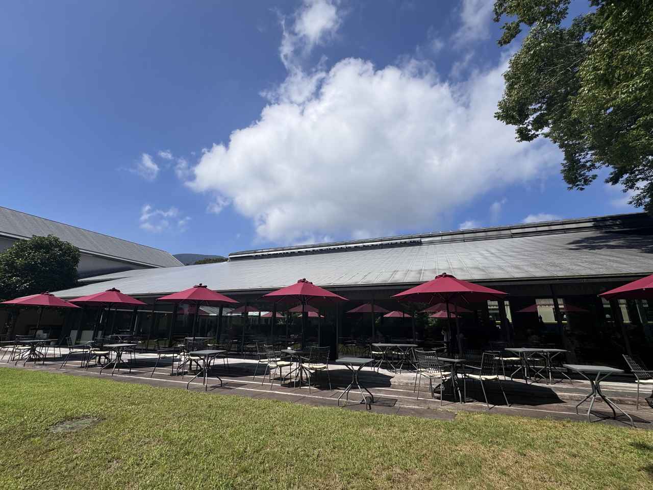 画像1: Restaurant Emoaで味わう、アートみたいなランチ