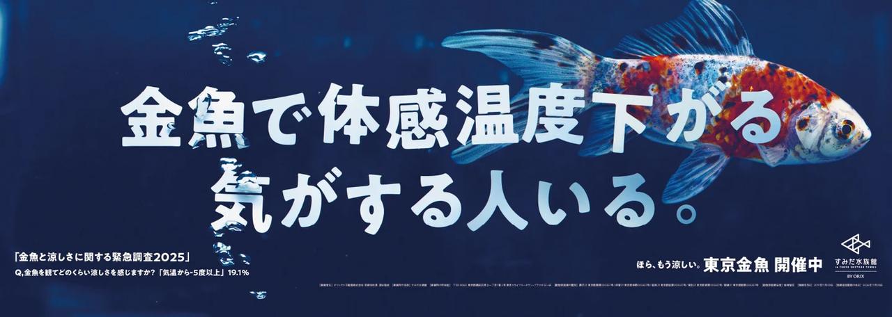 画像: 調査結果が電車に！