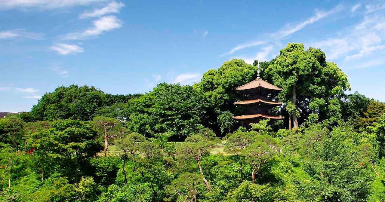 画像: 東京のホテルならホテル椿山荘東京。【公式サイト】