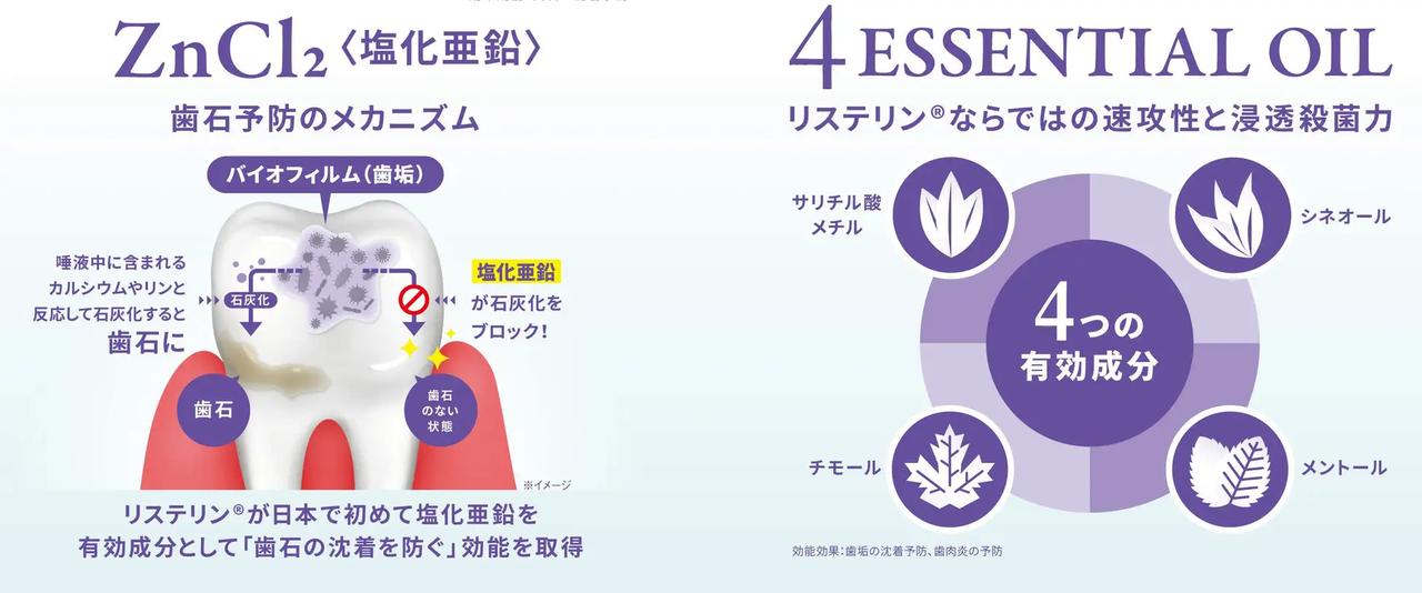 画像2: 【歯石ケア】×【歯垢ケア】で予防する大切さを!