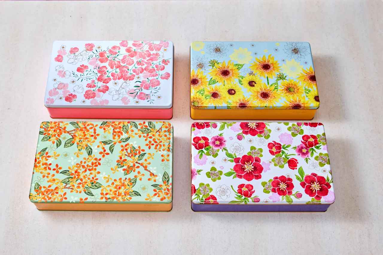 画像: カドーシリーズ