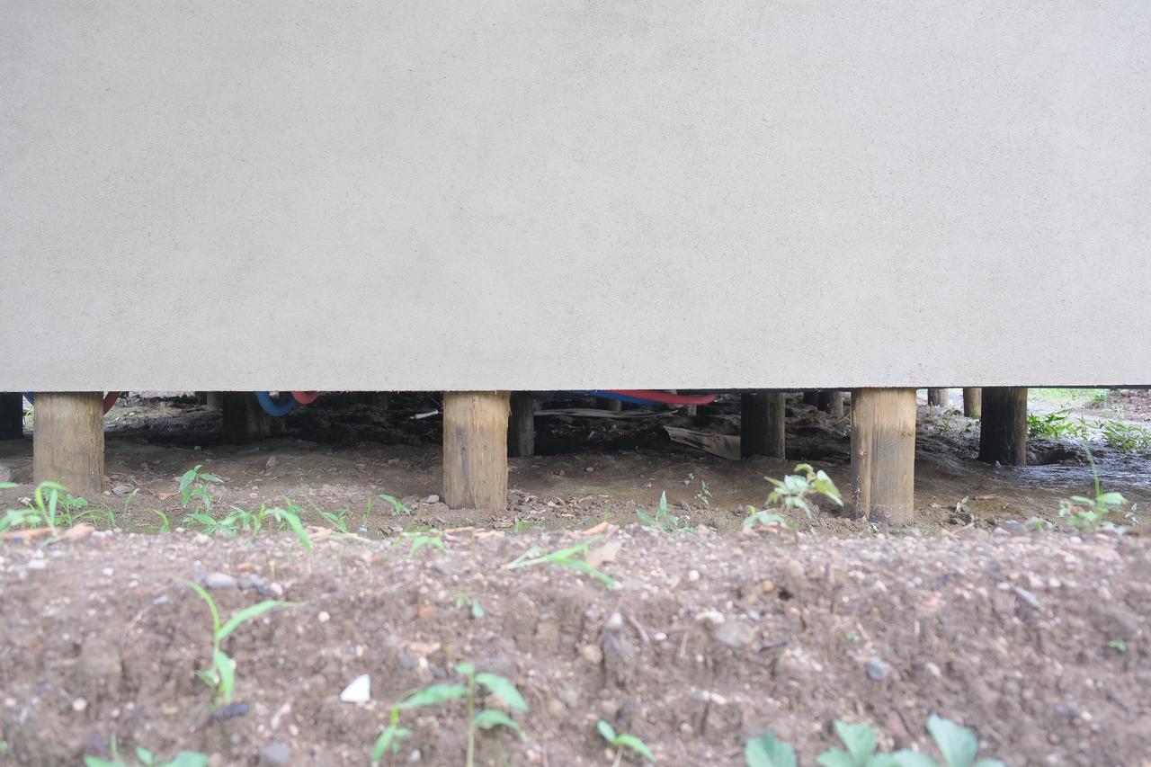 画像3: 滞在コンセプトは「根と土と」