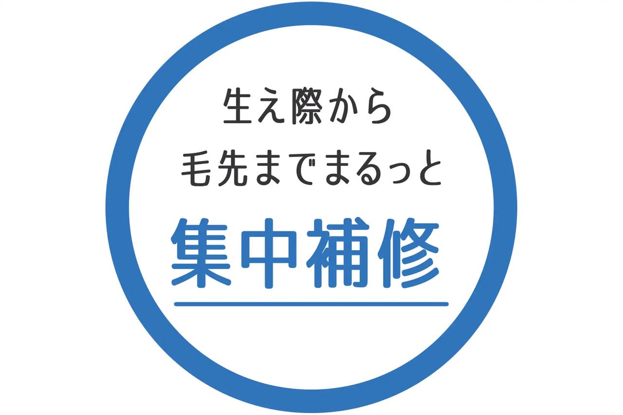 画像: 生え際から毛先まで集中補修◎
