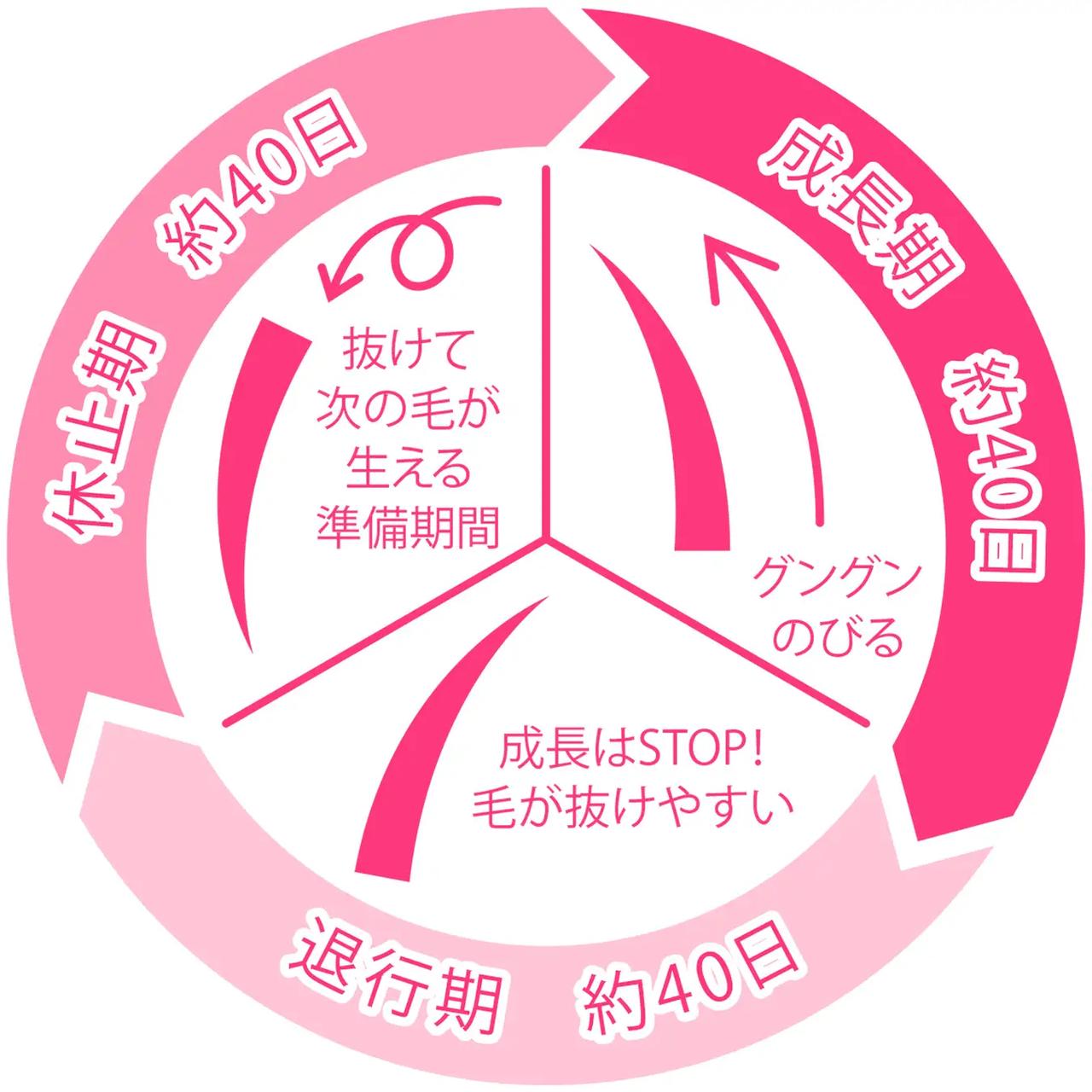 画像2: まつ育コラム