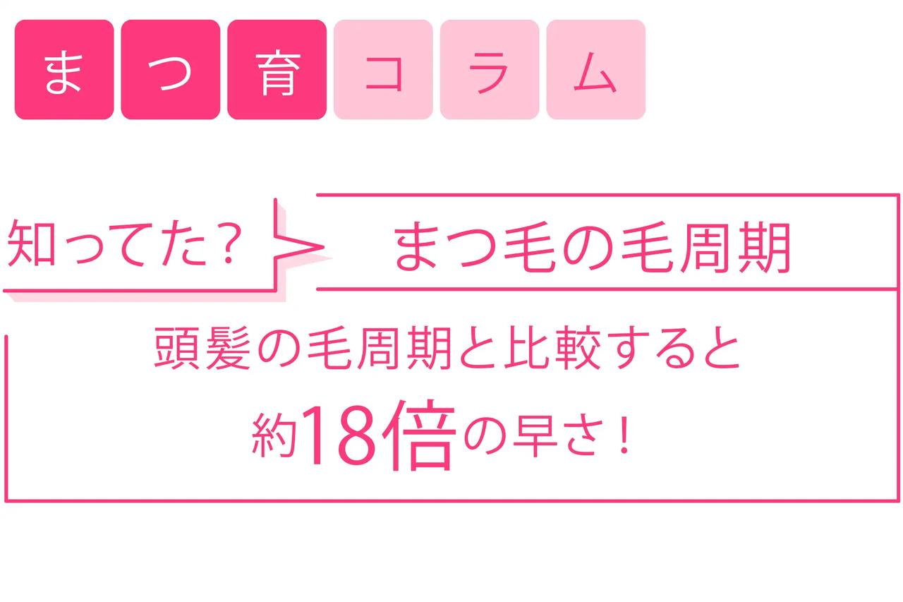 画像1: まつ育コラム