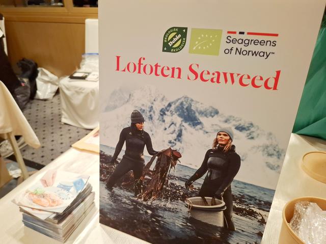 画像1: Lofot Seaweed