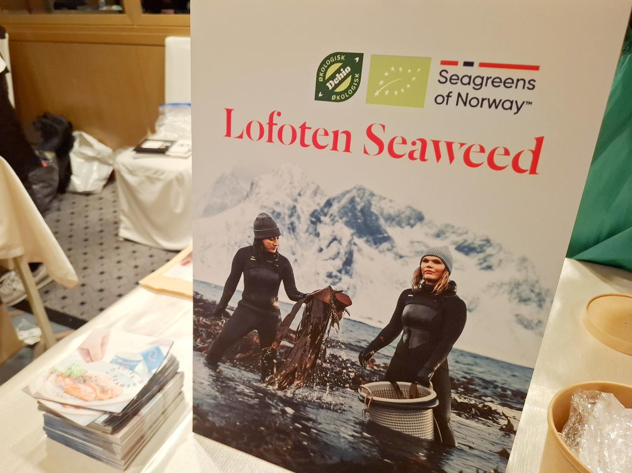 画像1: Lofot Seaweed