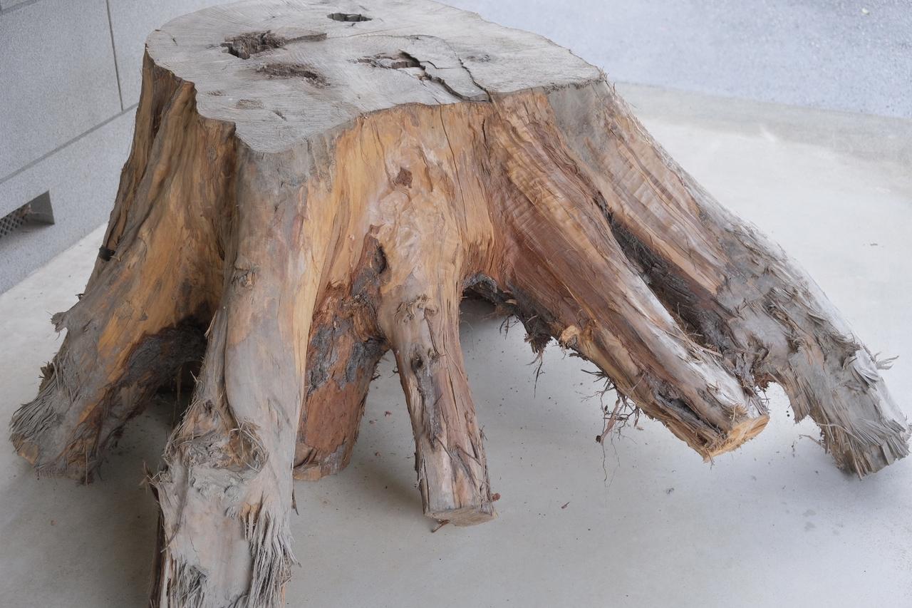 画像15: 「土地に根ざし、その土地ならではの料理を」