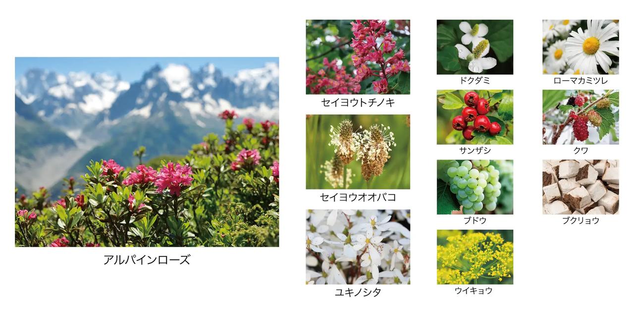 画像: “糖花ミックス”で、くすみ知らずの透明感へ