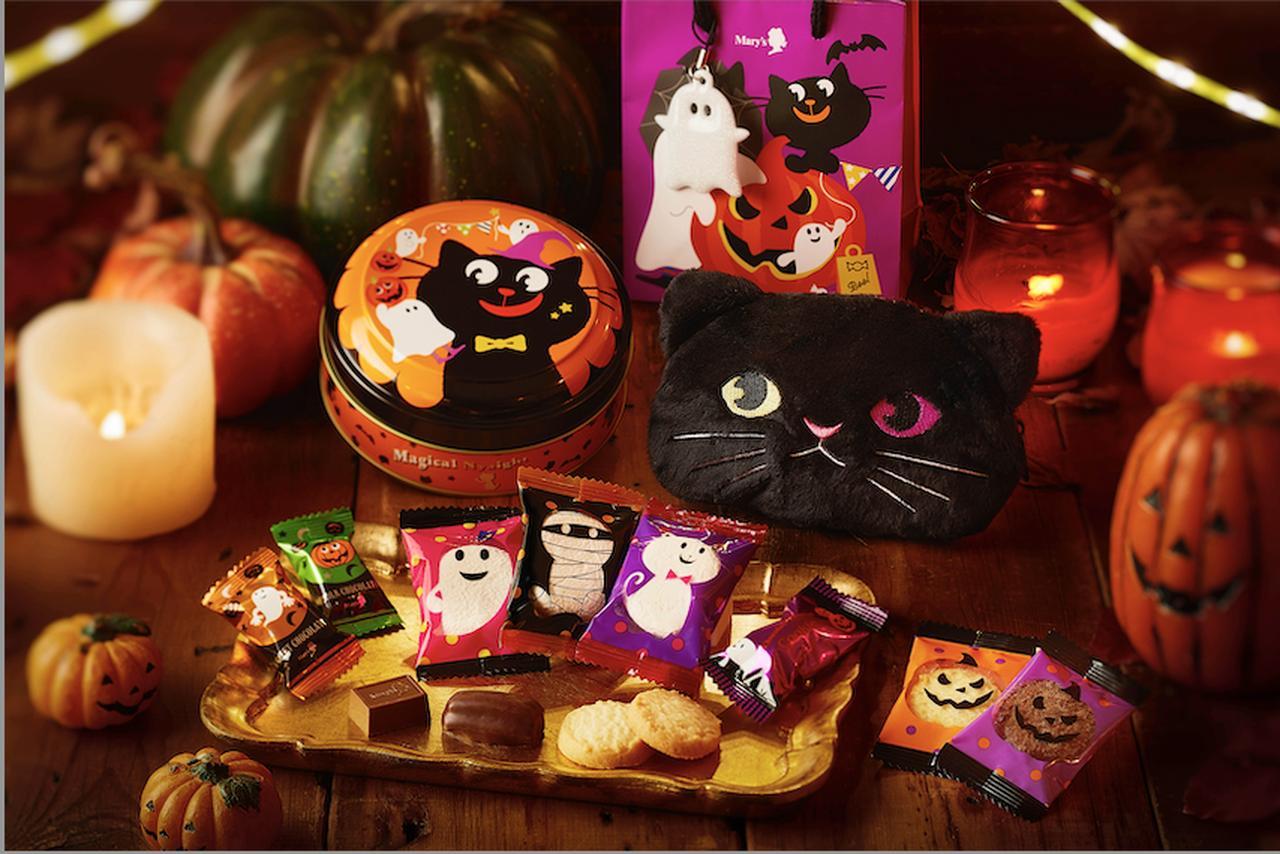 黒猫とおばけが誘う、やさしいハロウィン♡メリーの人気シリーズに絵本